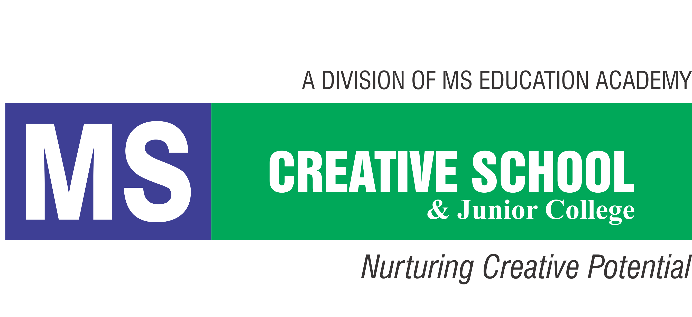 MS Creative